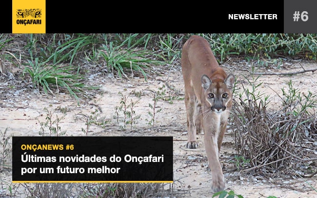 Newsletter - 1