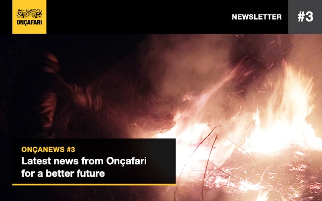 Newsletter - 1